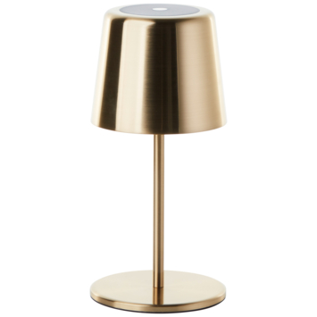 Brilliant USB oplaadbare buitenlamp Xaana 2W bruin