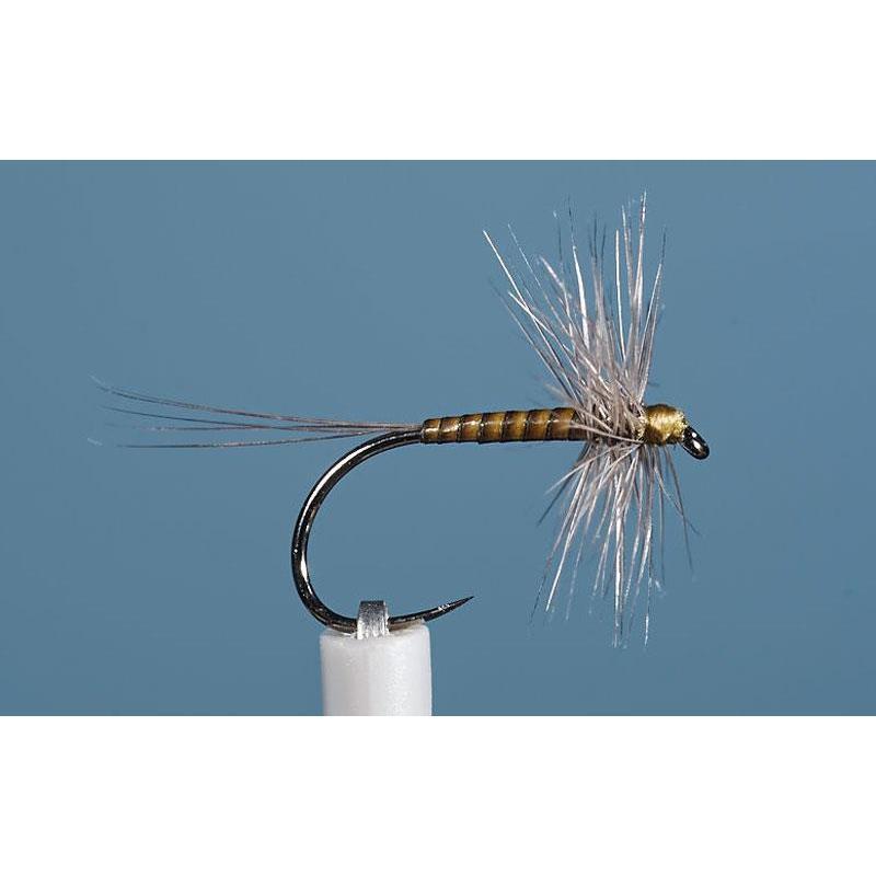 Mouche Jmc Ephemere Eli 11 Bl