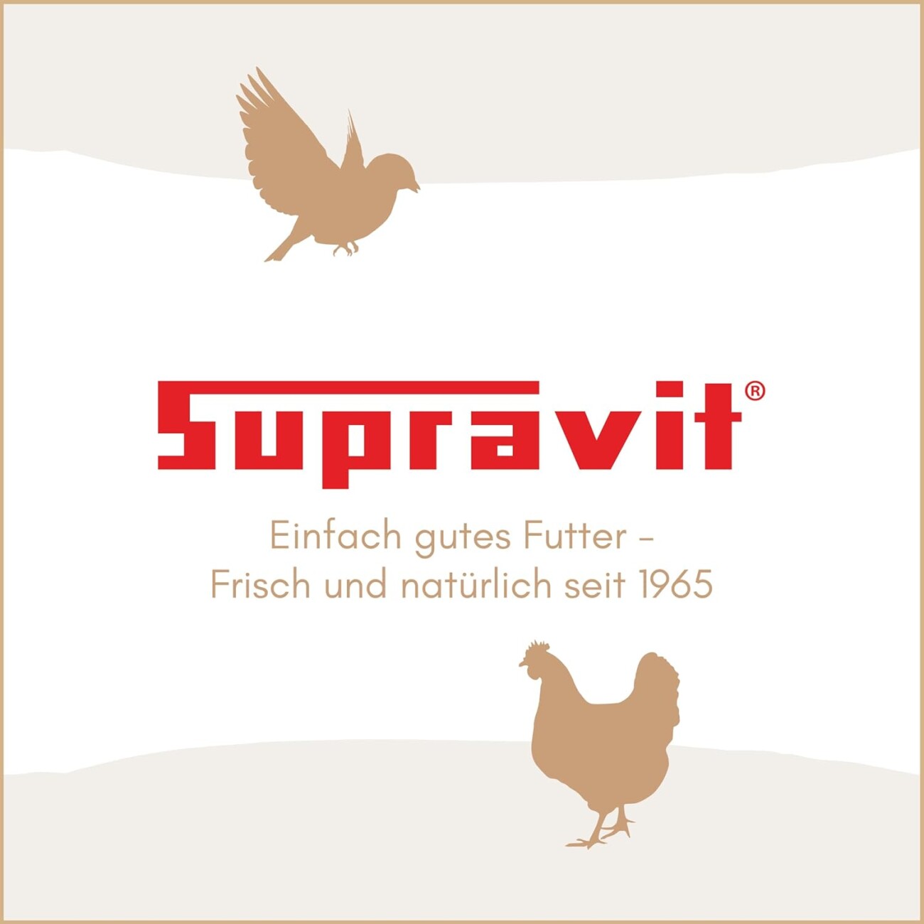 Supravit Maisbruch I getrockneter Mais I geschroteter Mais als Einzelfutter oder Mischfutter I hochverdaulicher Bruchmais als Vogelfutter, Hühnerfutter oder für Kaninchen & Pferde 25 kg
