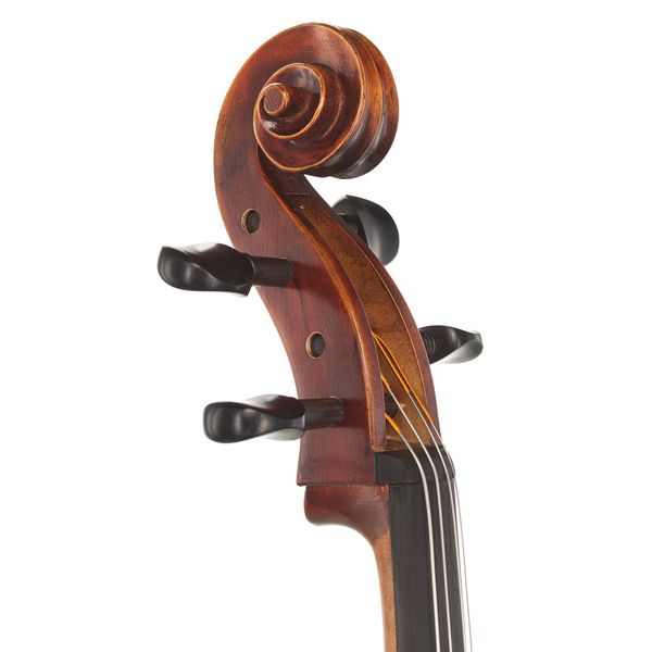 Gewa Maestro 2 Cello Set 4/4 CB