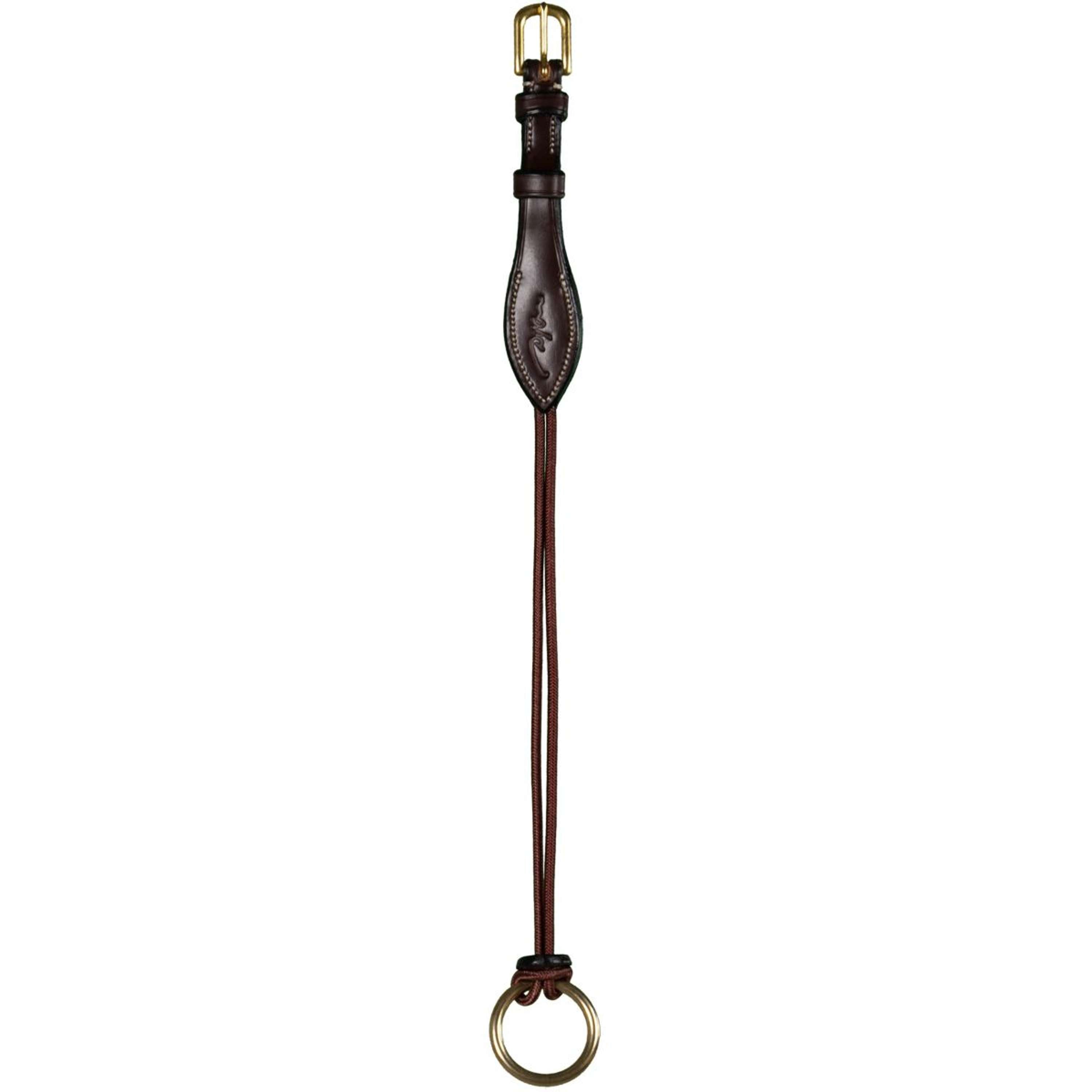 Dyon Gag Ropes Bruin