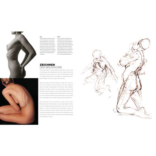 Anatomie für Künstler