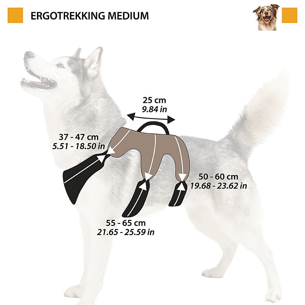 Ferplast harnais pour chien moyen ergotrekking medium, harnais chien anti-évasion, anti-panique, lévrier, réfléchissant, 6
