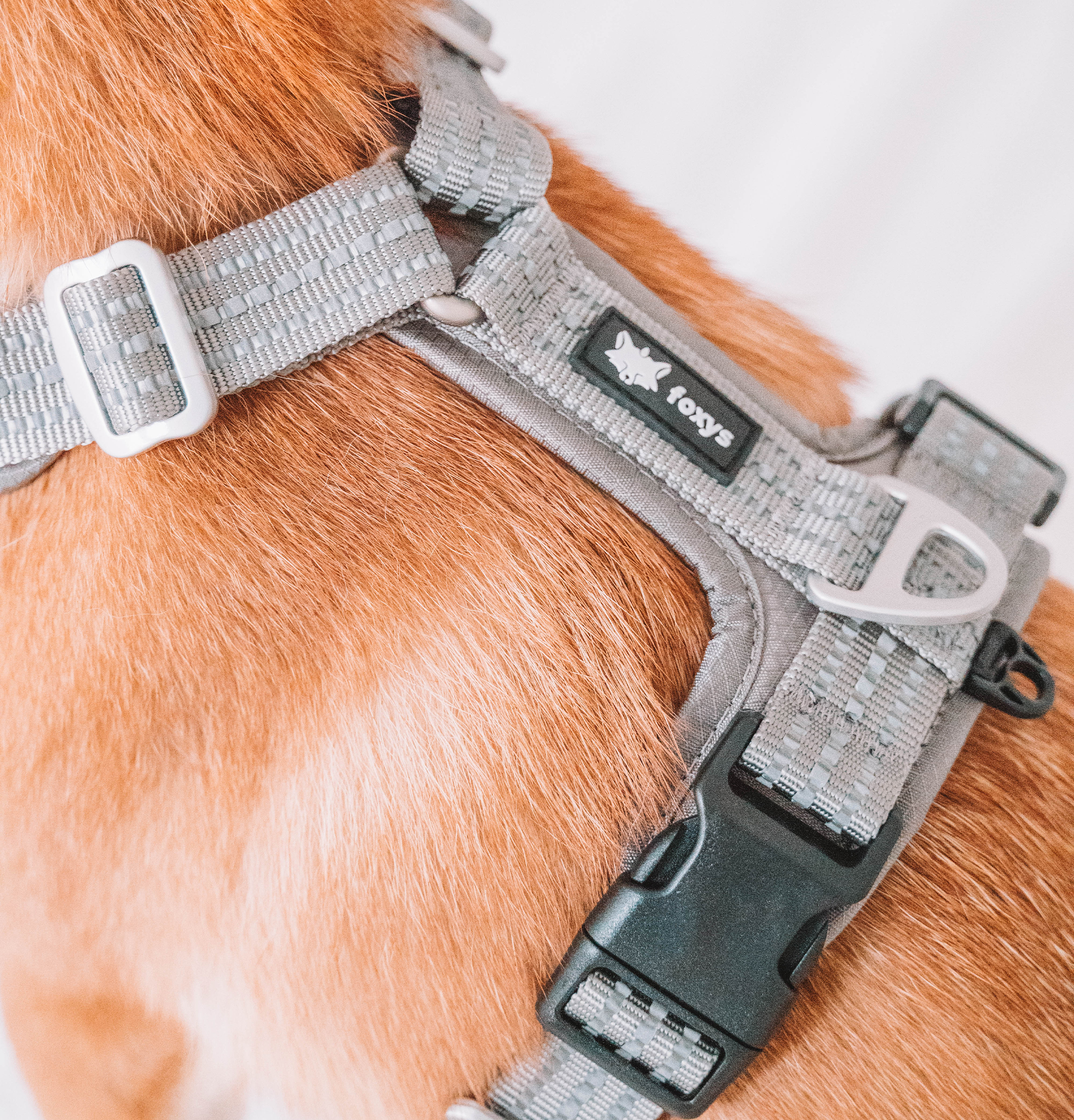 Colete para cães, modelo anti-puxão, com argolas em D frontais e traseiras, leve, ajustável e com fecho de segurança refletivo 3M para animais de estimação, fivela de alumínio reforçada no pescoço e resistente à água.