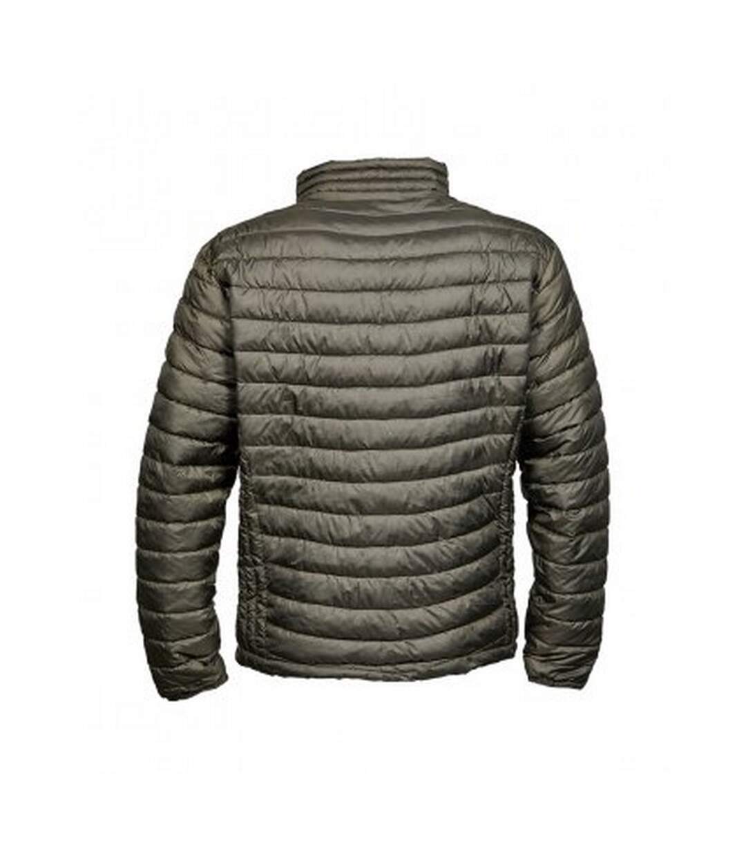 Tee Jays - Doudoune ZEPELIN - Hommes (Vert) - UTPC3847