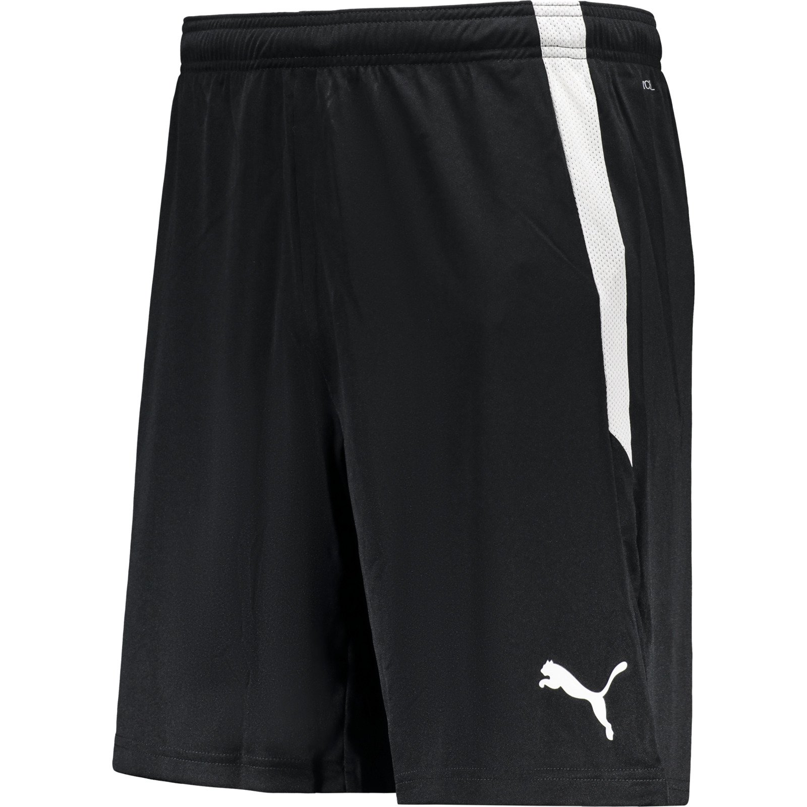 Puma Herren-Shorts teamLiga M, schwarz
