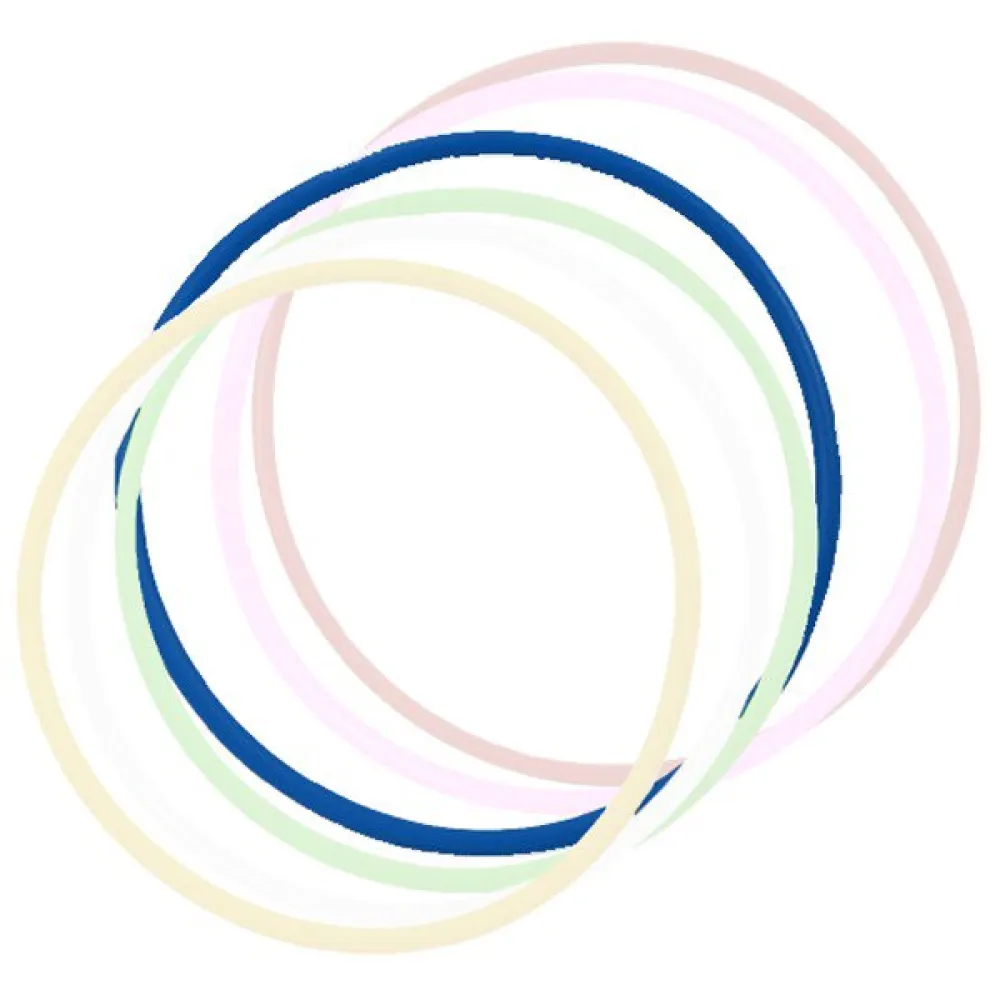 Sporti france 75 cm Runder Agilityring
