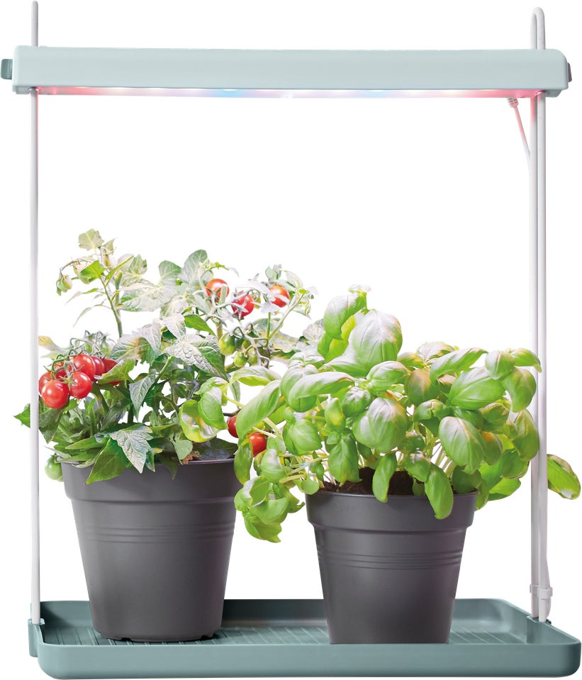 Elho kweeklamp Light Garden groen 44,3 x 27 x 7,8 cm