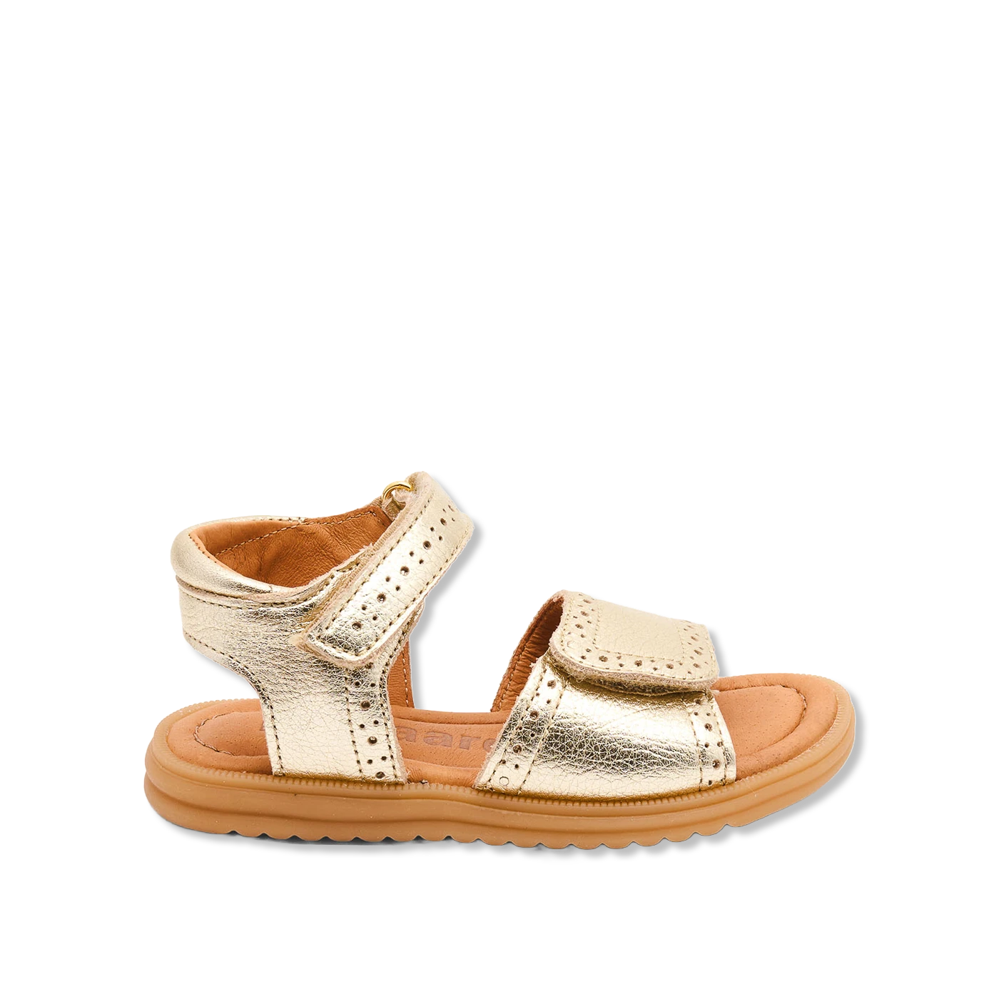 Andrea Sandaler