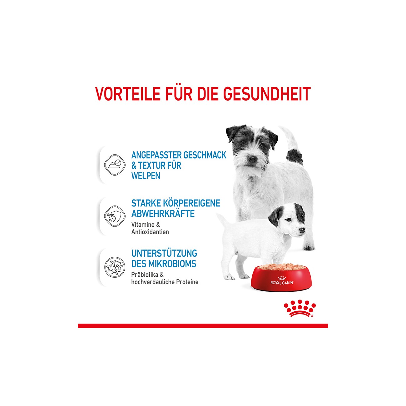 ROYAL CANIN Starter Mother & Babydog Mousse 12x195 g