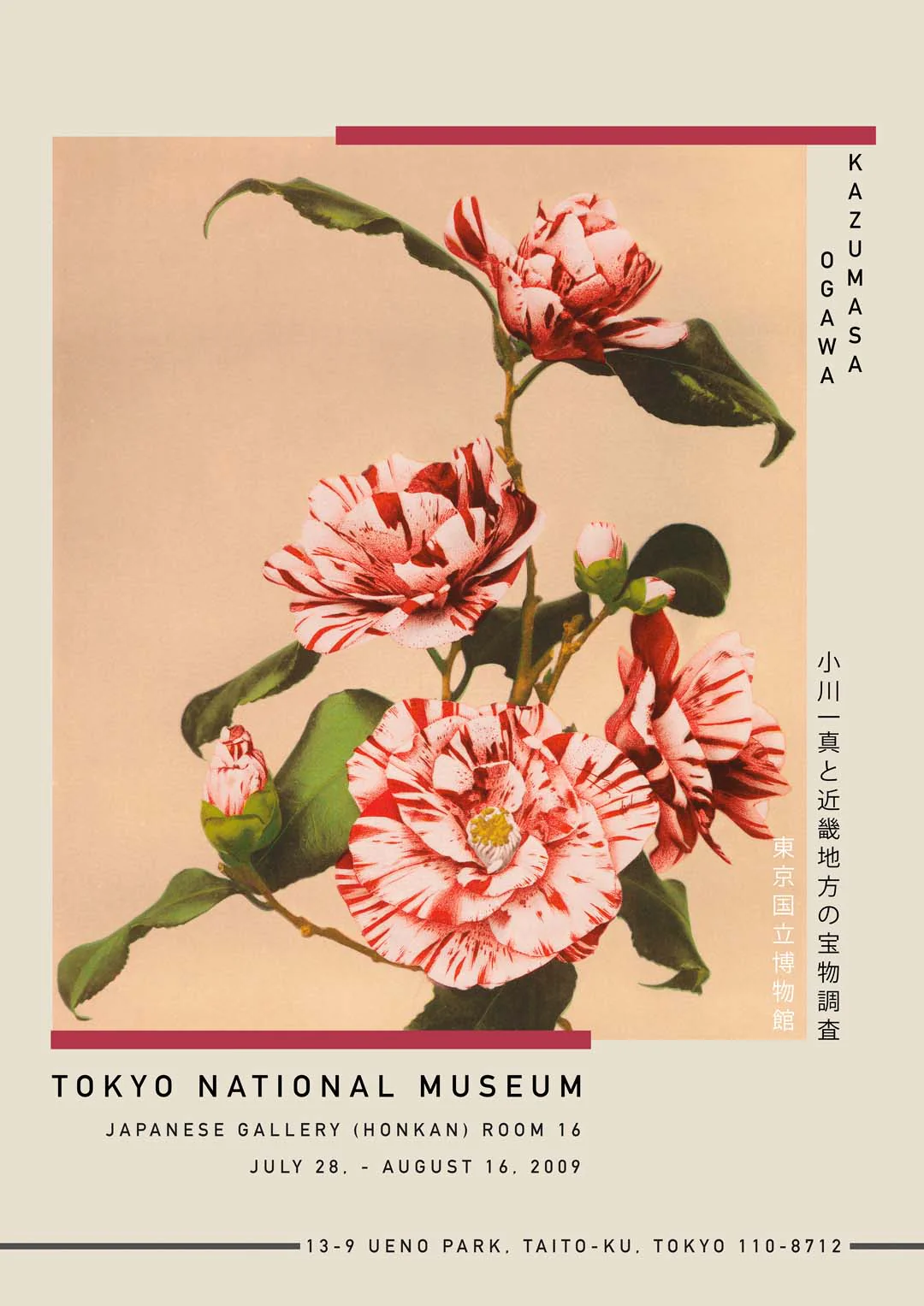 Gestreifte Kamelien von Kazumasa Ausstellung