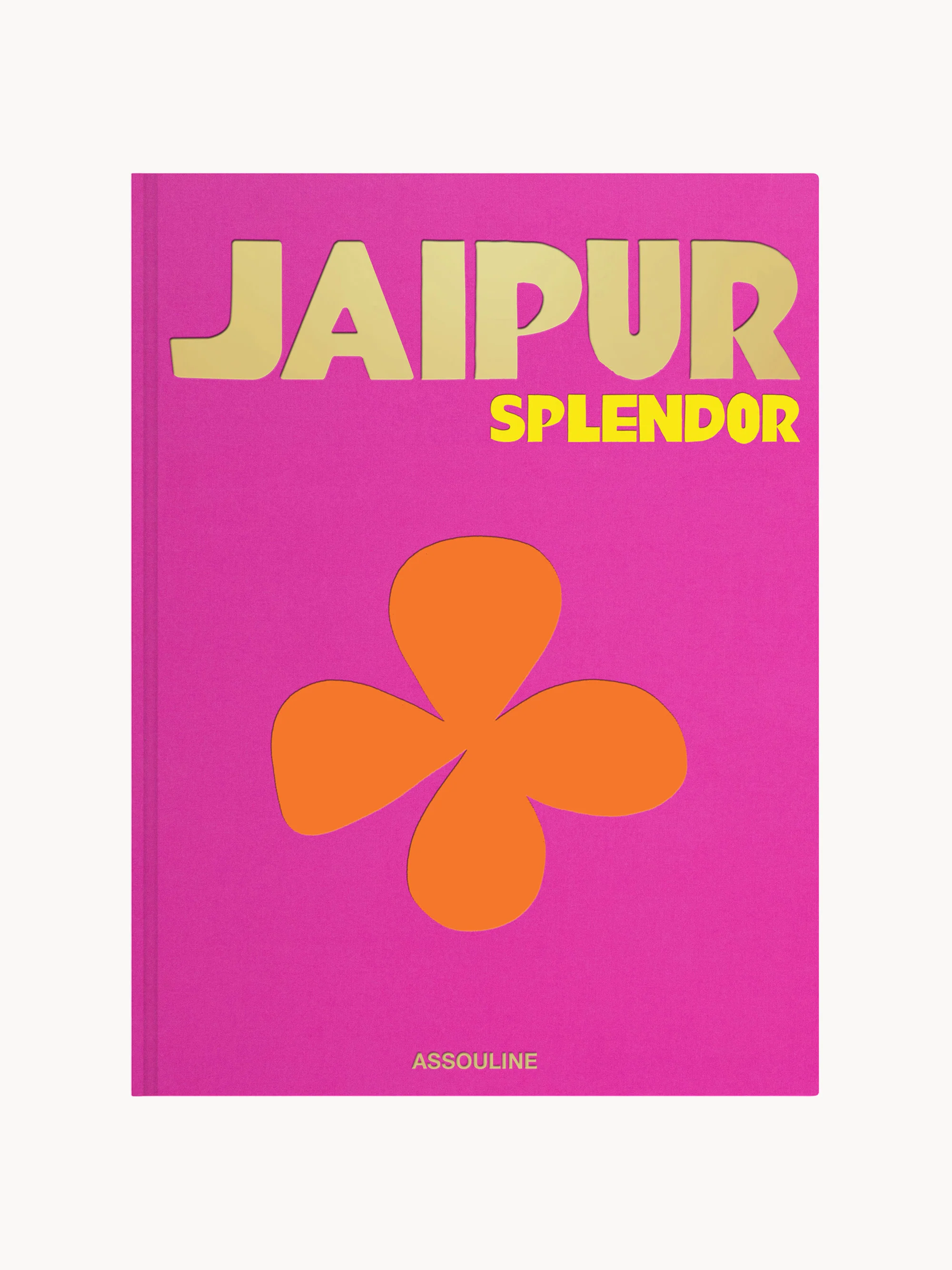 Salontafelboek Jaipur Pracht