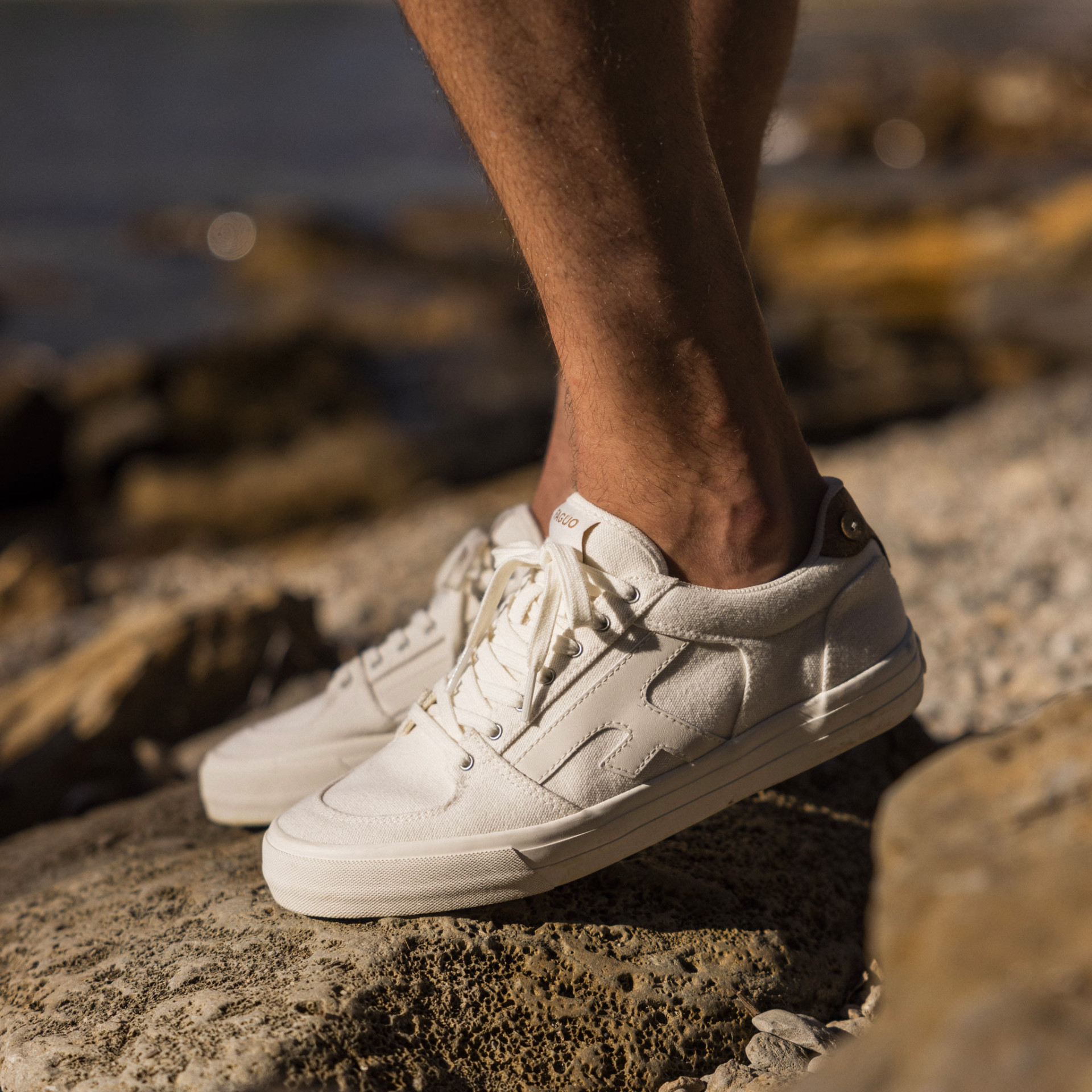 Tennis écrue et blanche vegan Coton recyclé - modèle Walnut