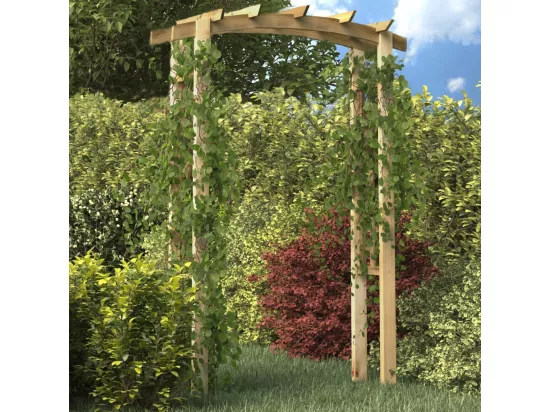 Voûte en treillis 150x60x210 cm Bois
