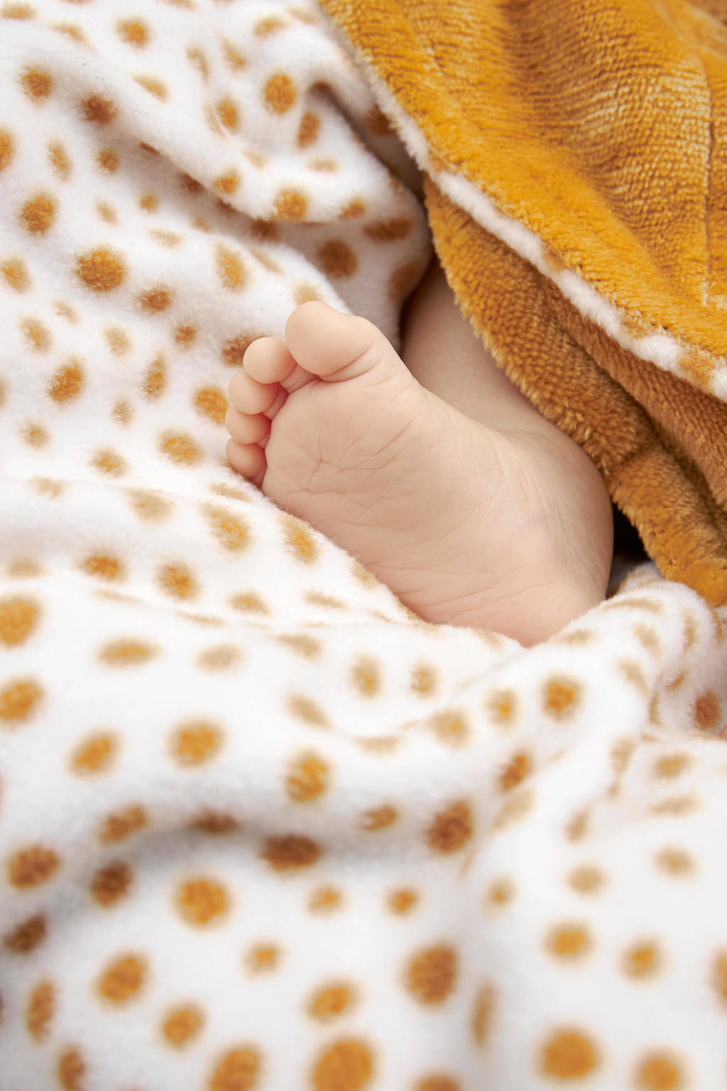 fleece wikkeldeken Cheetah honeygold