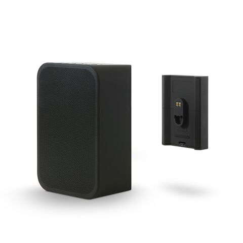 Koop Bluesound PULSE FLEX 2i   BP100 Draadloze luidspreker | 5 Jaar Garantie