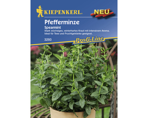 Pepermunt Kiepenkerl kruidenzaden