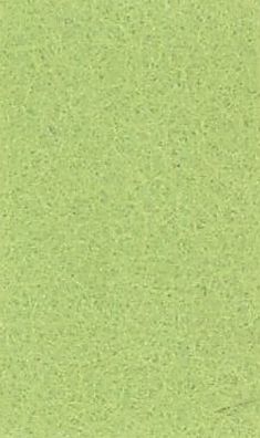 TrueFelt - Wolvilt - Lente Groen - 20x30cm