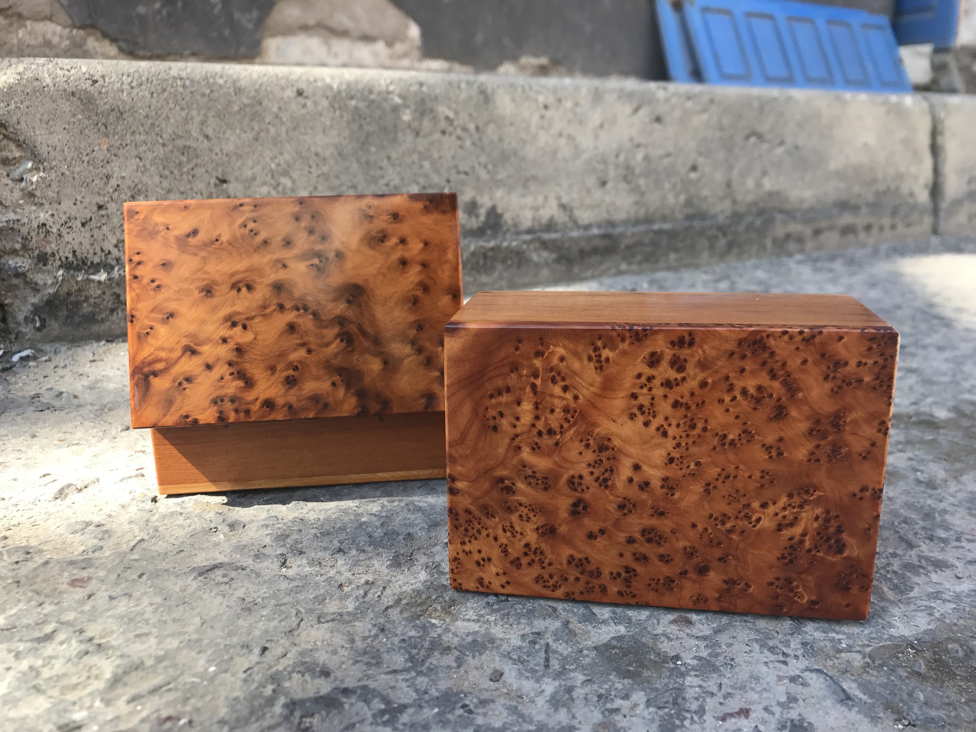 Thuja Box, B 12 cm, L 8,5 cm, H 5,5 cm von fischer's lagerhaus