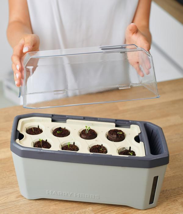 Gusta Garden Kräutertopf Harry Herbs mit