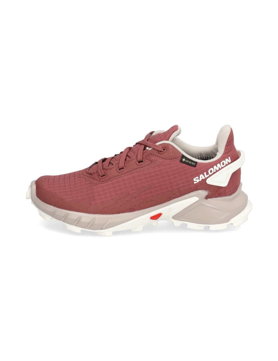 ALPHACROSS 4 GORE-TEX
