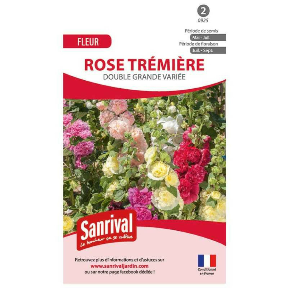 Graines rose trémière