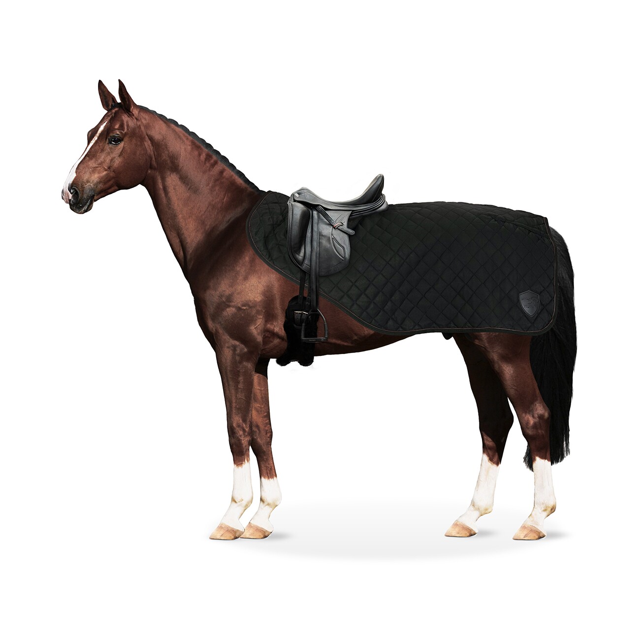 Equinate Ausreitdecke James mit Teddyfell