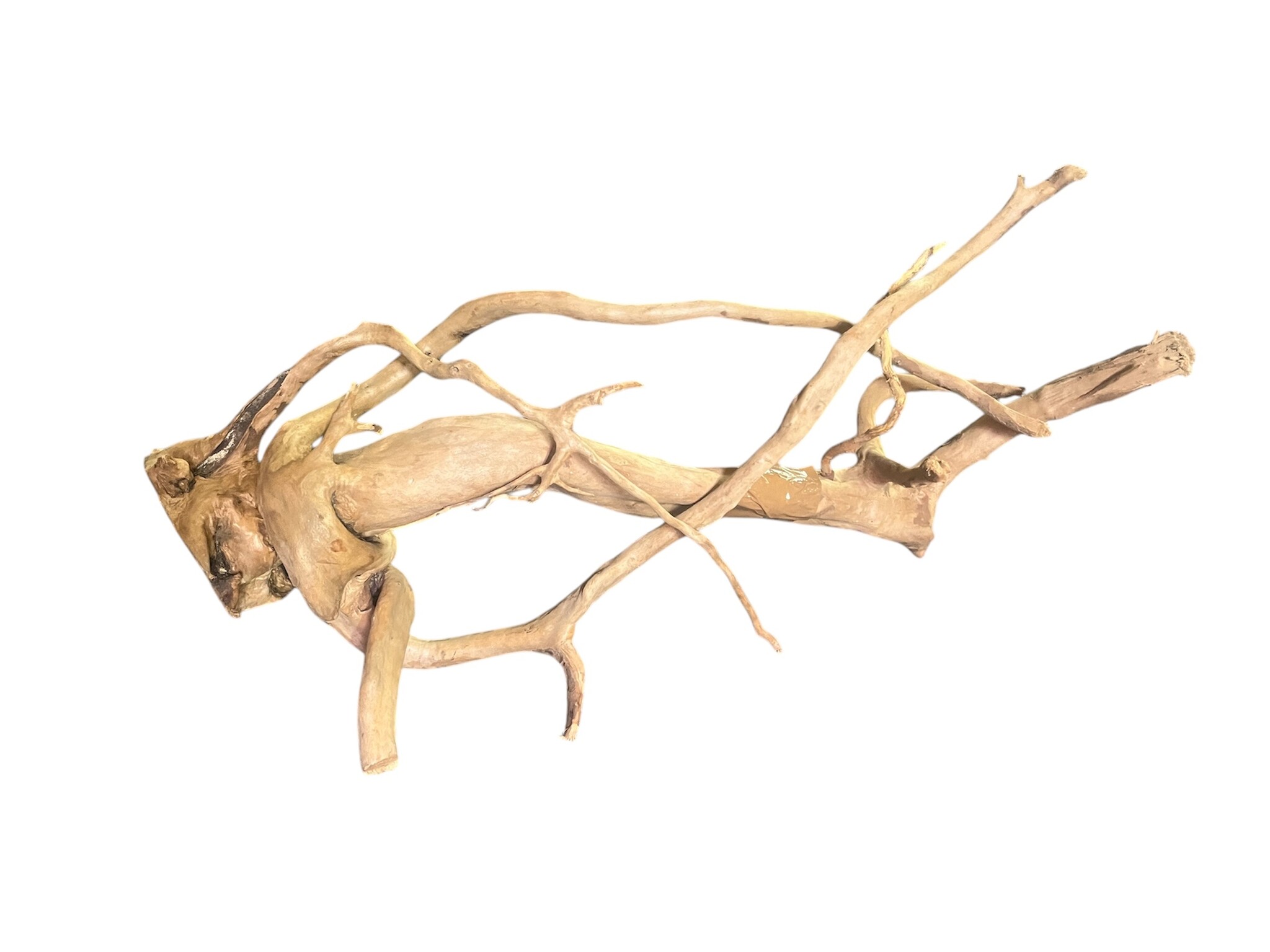 AquastoreXL Boomstronk XXL 50 - 80 cm 1,15kg - NR21 | natuurlijk hout