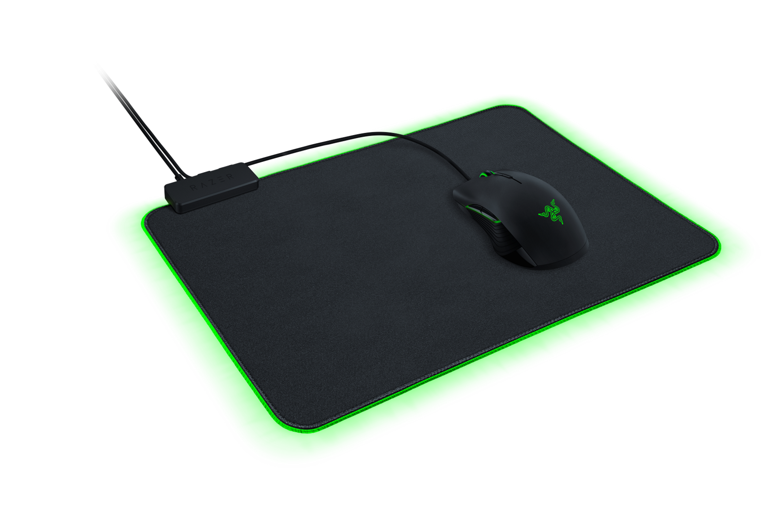 Goliathus Chroma