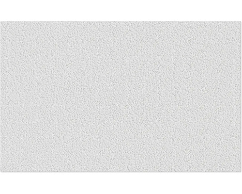 Erfurt vliesvezel 1004312 Protect 204 10.05x0.53 m