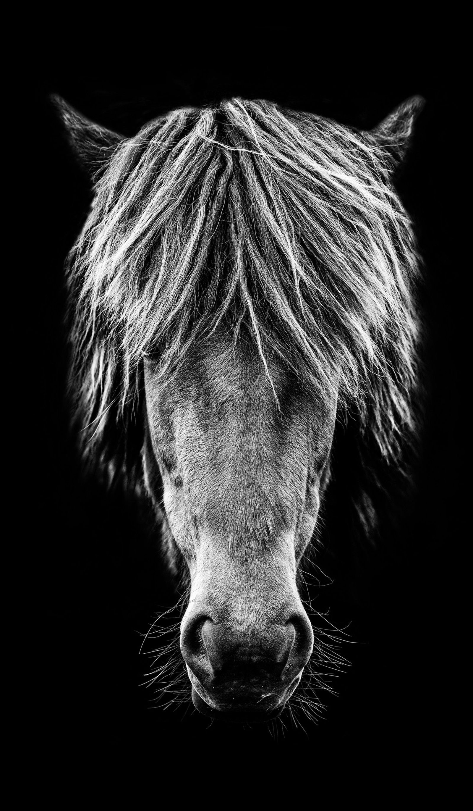 Islander by Claudio Gotsch - Limited Edition. Edition of: 100. Signed.