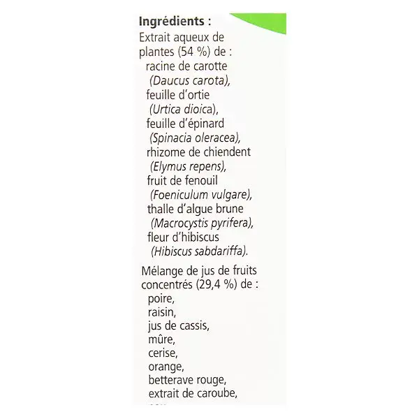 Salus Toniques Floradix Fer + Plantes 250ml