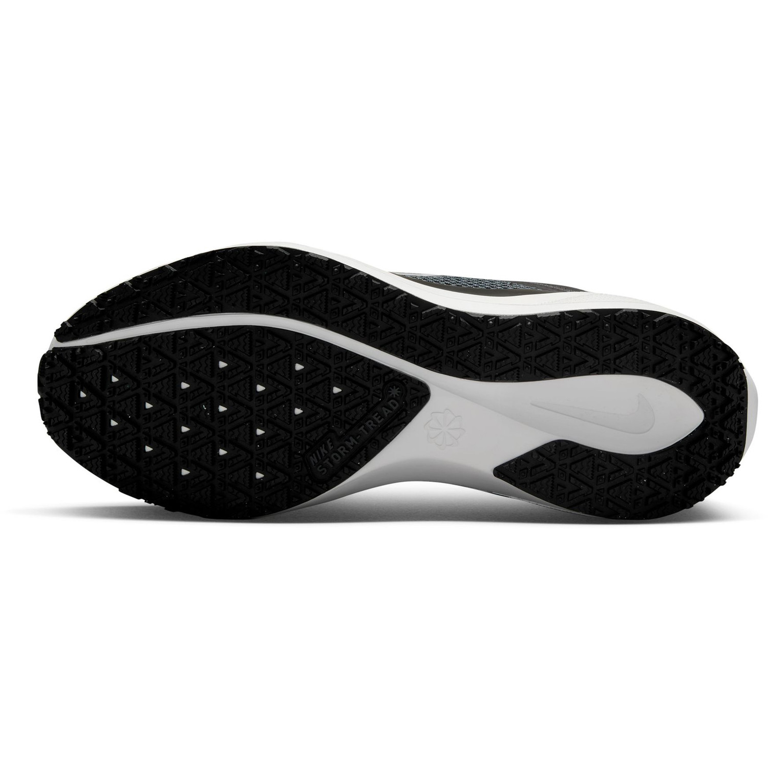 Nike Pegasus 41 GTX Dames