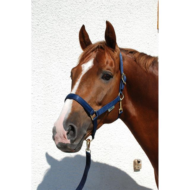 Halster Bucas Dublin Donkerblauw-donkerblauw