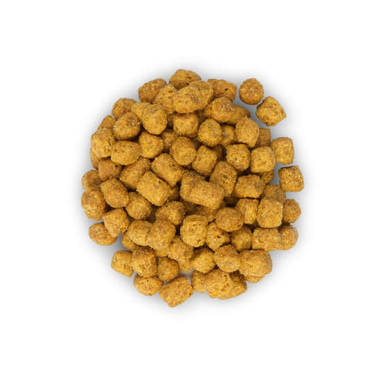 Croquettes chat adulte stérilisé au poulet Super Premium - 1,5 kg