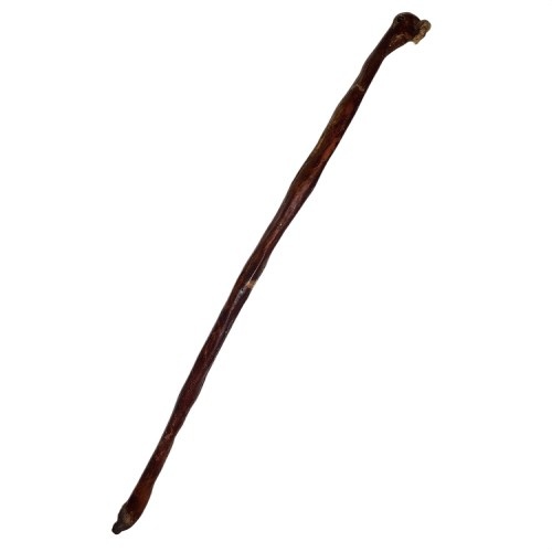 Dognia Long Beef Nerve para cães
