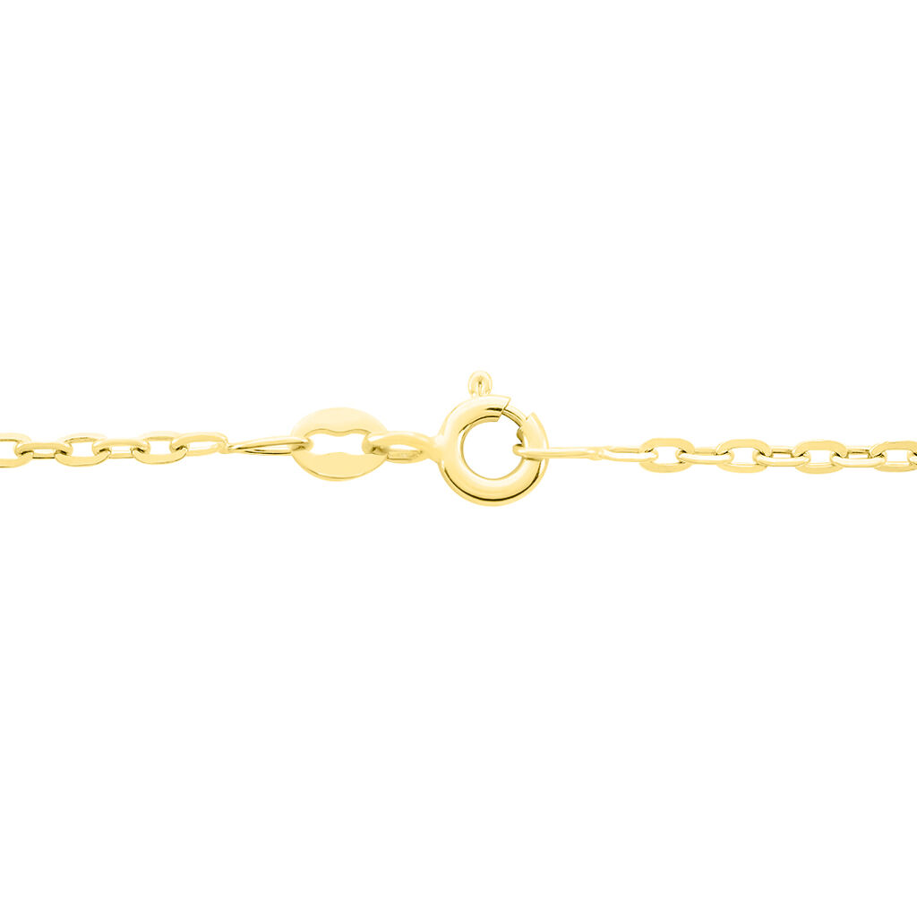 Chaîne Igoa Maille Forçat Diamantee Or Jaune