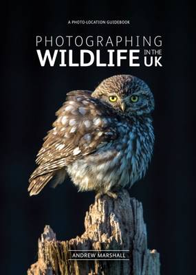 Photographing Wildlife in the UK: Where and How to Take Great Wildlife Photographs (Paperback)