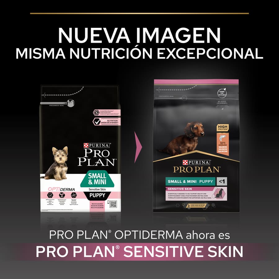 Pro Plan Puppy Small and Mini Salmon Dog Food Skin