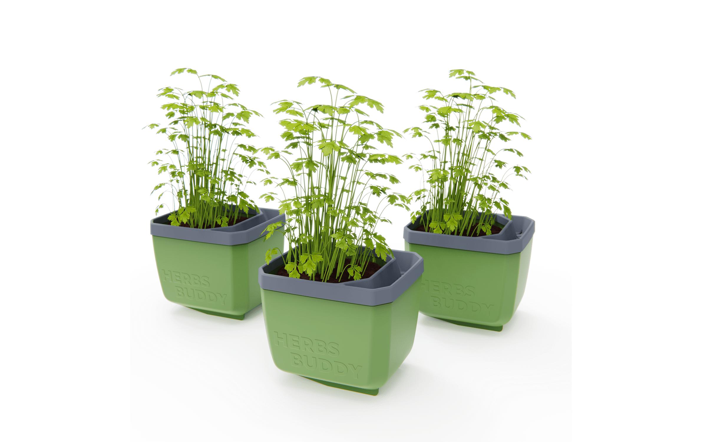 HERBS BUDDY Kräutertopf 3er Set GrünKräutertopf mit Wasserreservoir und Kippfunktion