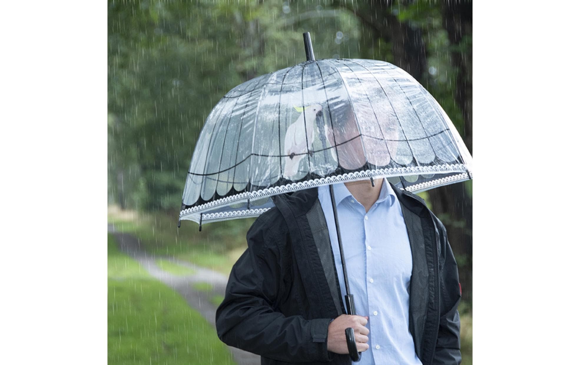 Schirm Vogelkäfig Rosa/Schwarz/TransparentTransparenter Regenschirm