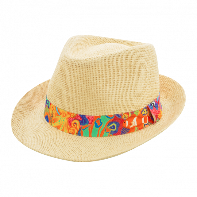 Chapeau T56 - Protect