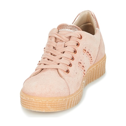 Bullboxer - AIB006 - Rose