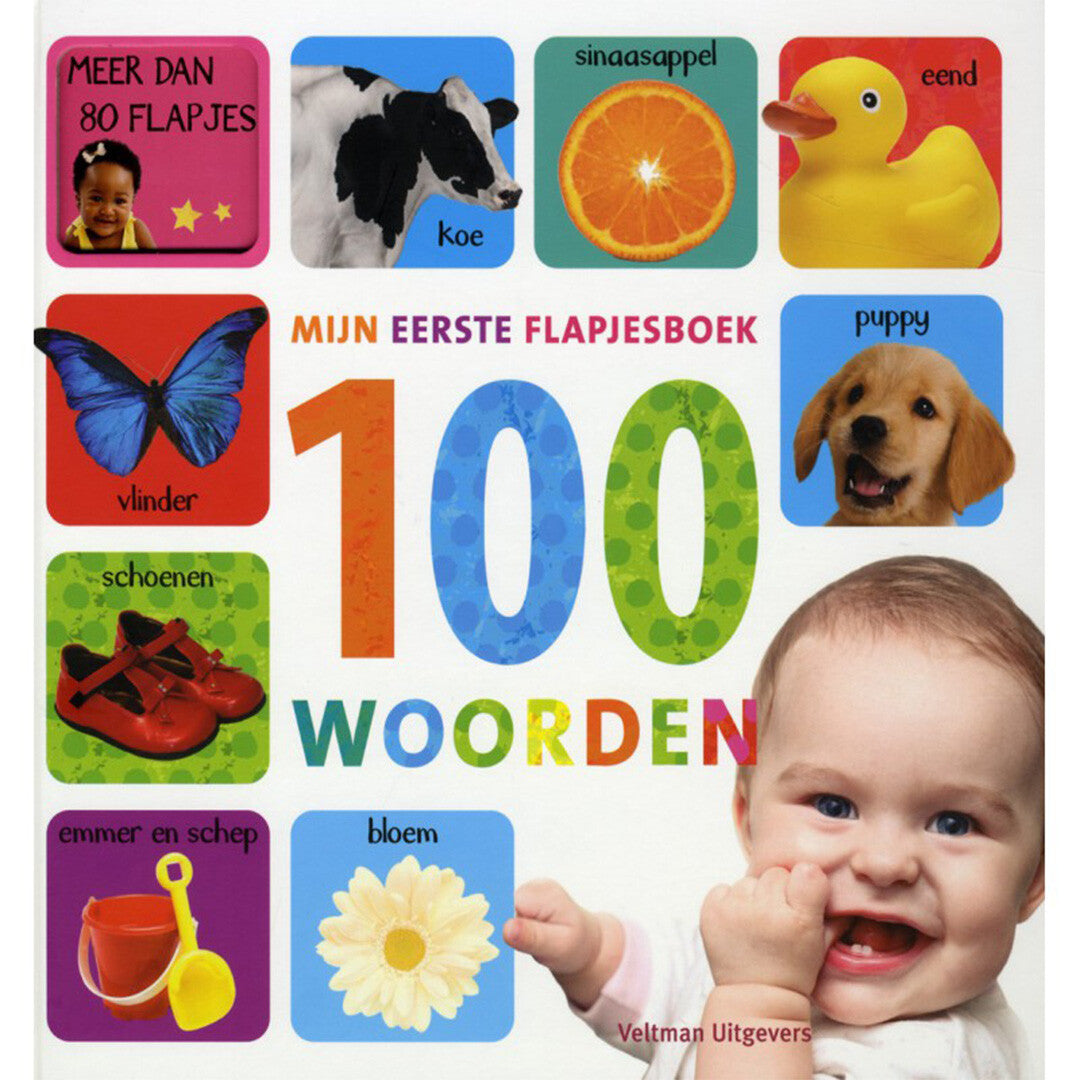 Mijn eerste flapjesboek 100 woorden