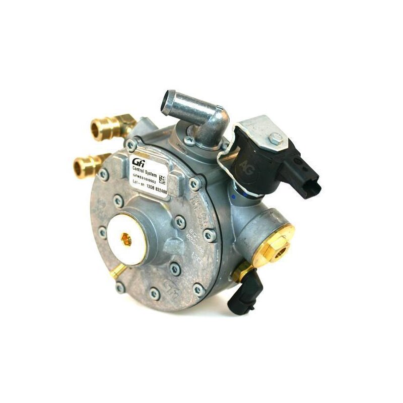GFI SGI Verdampfer 1000mbar mit Wassertemperatursensor