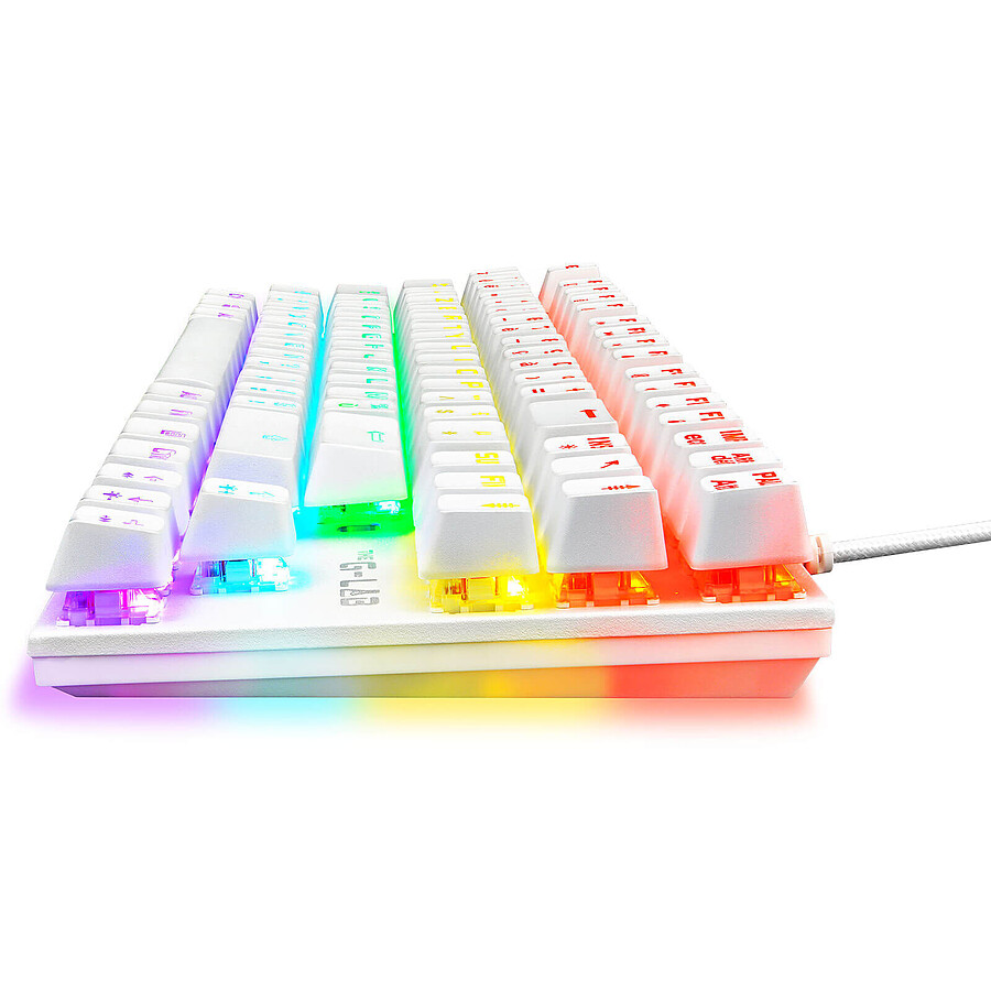 The G-Lab Combo Mercury