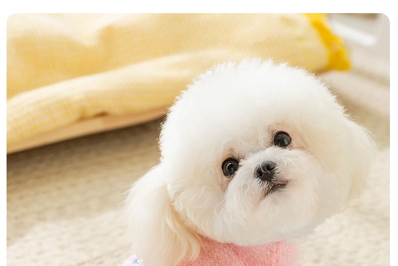 Cissilli - Geborduurd Chenille Pet Topje