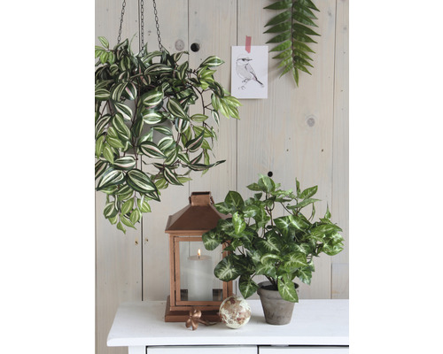 Kunstmozaïekplant Fittonia Ø 25 H 35 cm grijs