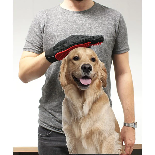 Gant de brossage pour animaux