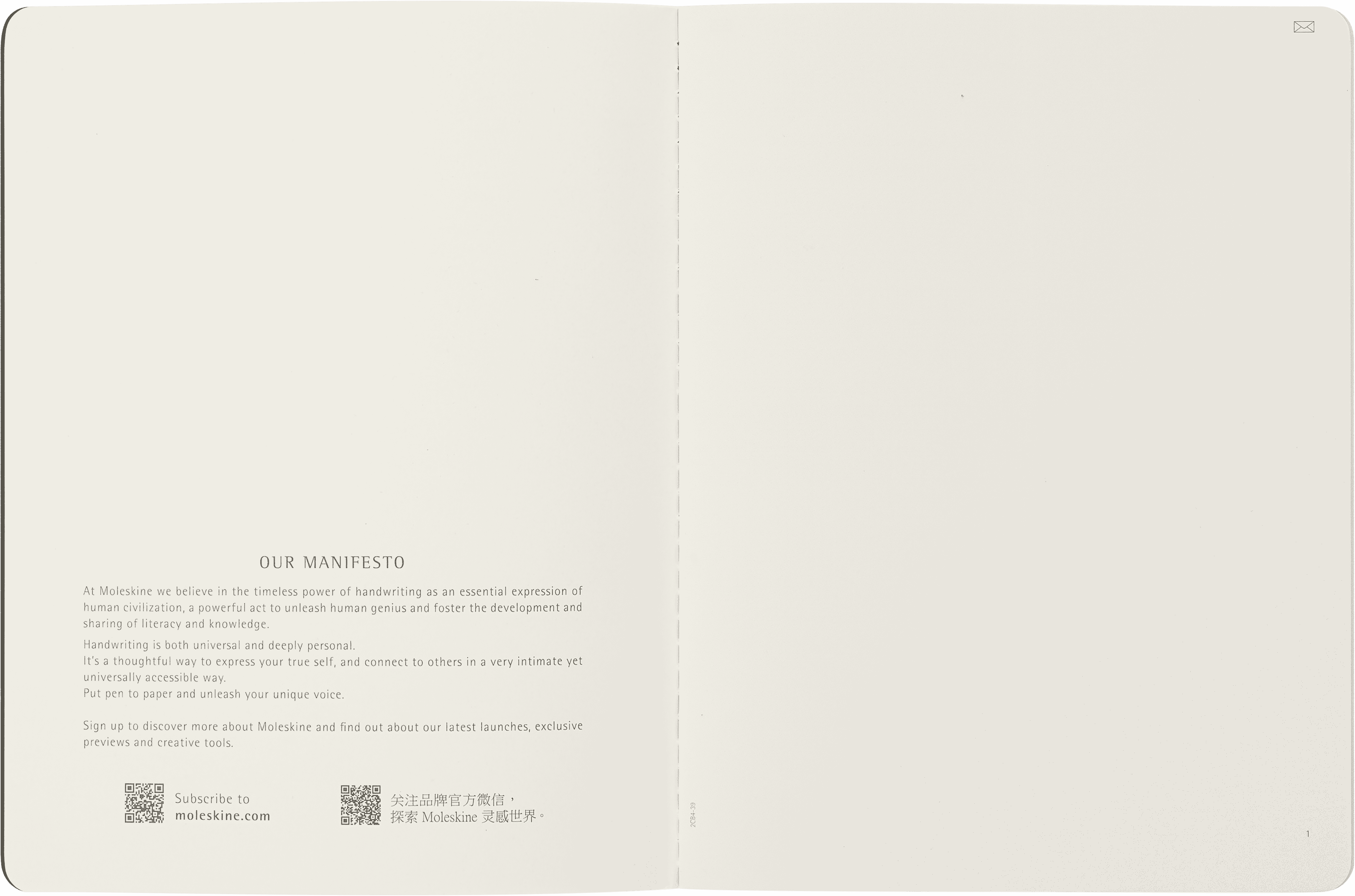 Smart Cahier XL Set of 2, plain